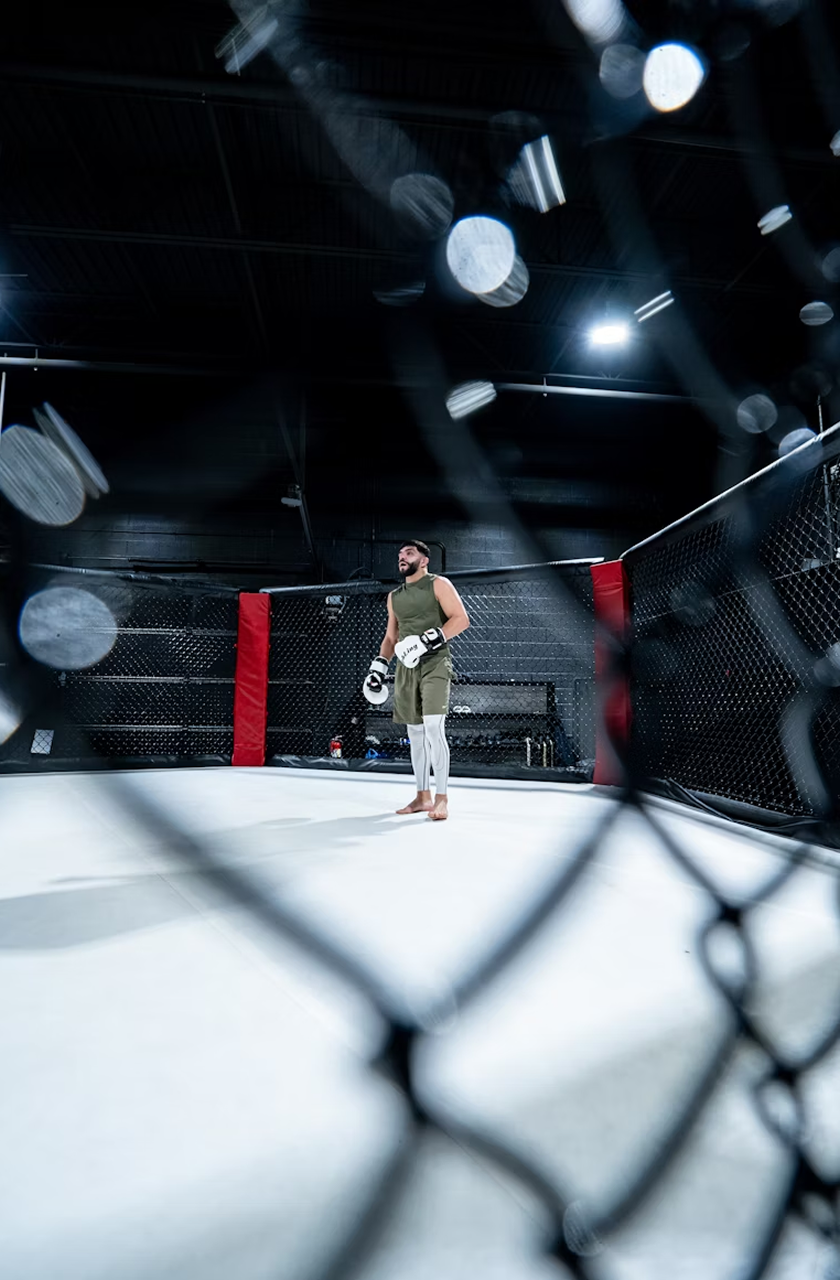 UFC Fight Digest