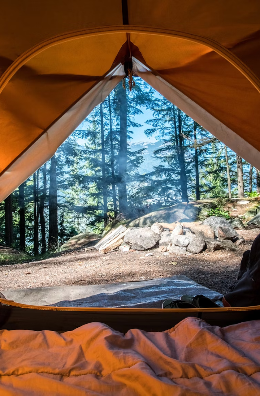 Camping Chronicles